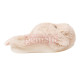 Women's slippers Marli Milky